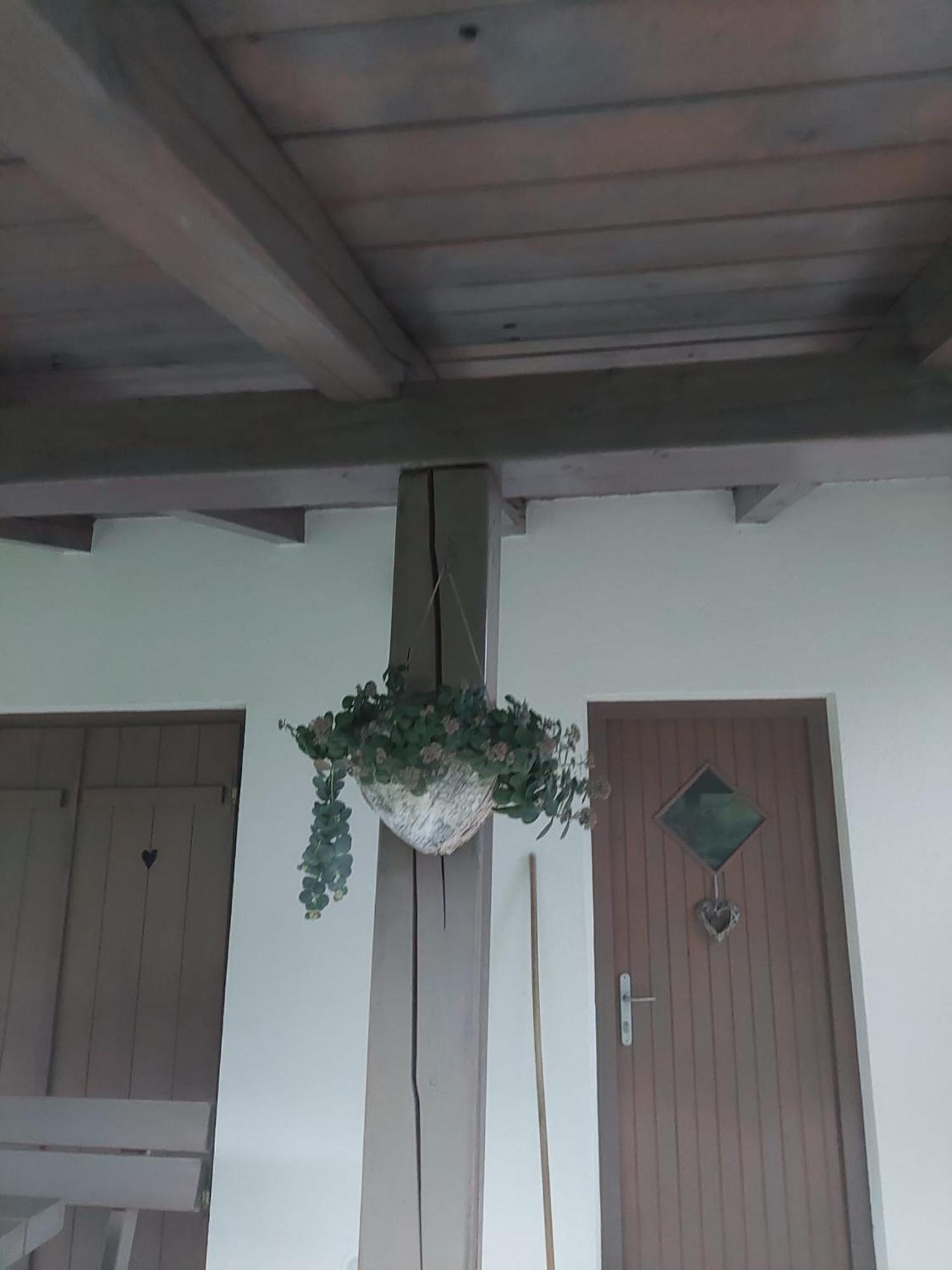 Vineyard Cottage Klemencic Novo Mesto Exterior foto