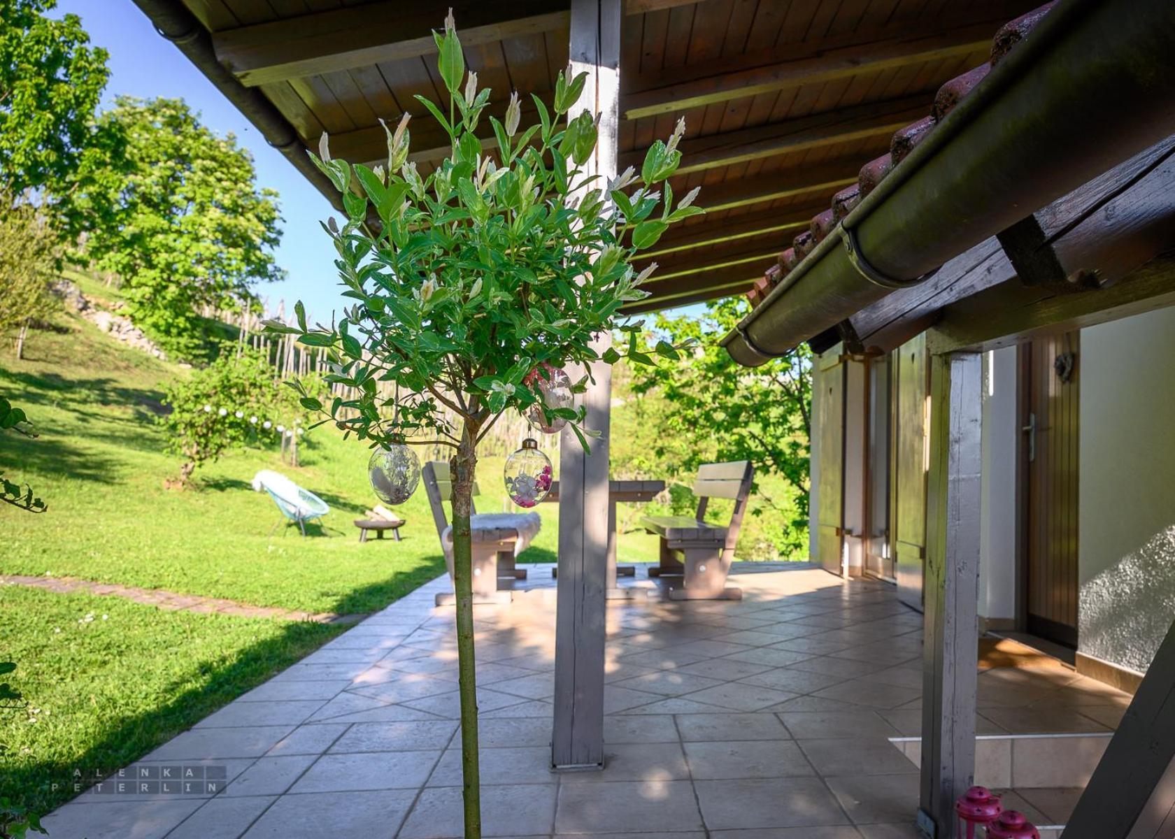 Vineyard Cottage Klemencic Novo Mesto Exterior foto